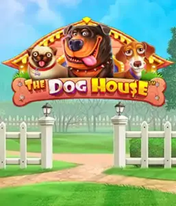 Experience Pragmatic Play's The Dog House, bringing you an adorable experience among lovable dogs. Engage in features including sticky wilds, designed for delivering joyful moments. Perfect for pet lovers an amusing theme and the opportunity to win big.